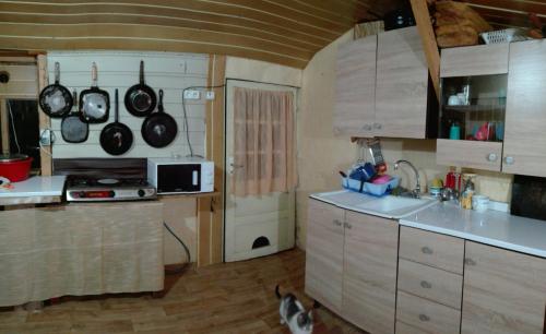 Camping Casuta Mihaela的厨房或小厨房