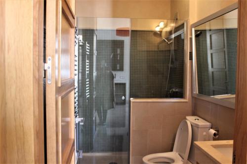 塞维利亚Luxury Apartment Sierpes的一间带卫生间和玻璃淋浴间的浴室