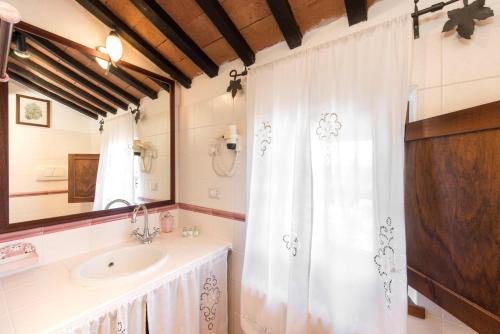 瓦里亚诺伯格特里玫瑰酒店的一间带水槽和淋浴帘的浴室