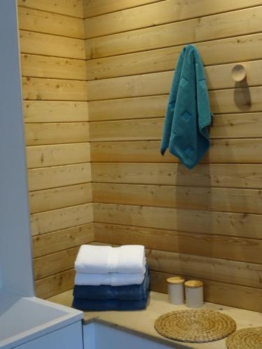 ÉtrunGite de l'Abbaye d'Etrun的木墙上带毛巾的浴室