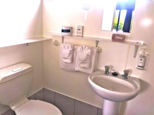 罗托鲁瓦荣誉山林汽车旅馆的一间带卫生间和水槽的小浴室