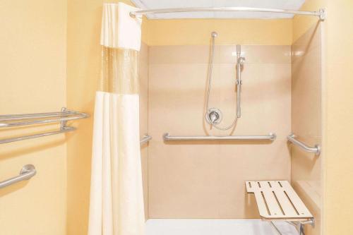 劳雷尔山劳雷尔山骑士旅馆的浴室配有淋浴和带浴帘的卫生间。