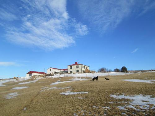 ÞórshöfnGrásteinn Guesthouse的相册照片