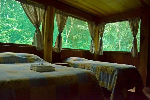LacanjáCampamento Rio Lacanja的带大窗户的客房内的两张床
