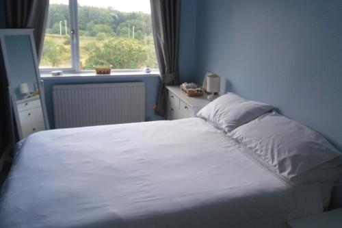Nant-y-bwchPrincetown Cottage的卧室配有白色的床和窗户