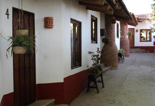 塔帕尔帕Hotel Bugamvillas Tapalpa的墙上植物的走廊