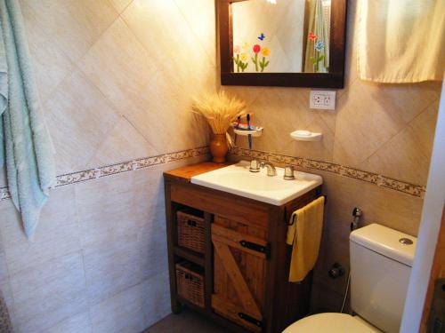 维拉卡洛斯帕兹Cabañas Doña Itati的一间带水槽、卫生间和镜子的浴室
