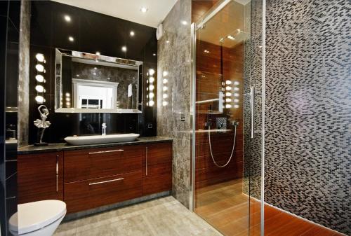 什切青丽文高档公寓的一间带水槽和玻璃淋浴的浴室