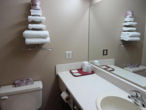 萨斯卡通Venture Inn Hotel的一间带水槽、卫生间和镜子的浴室