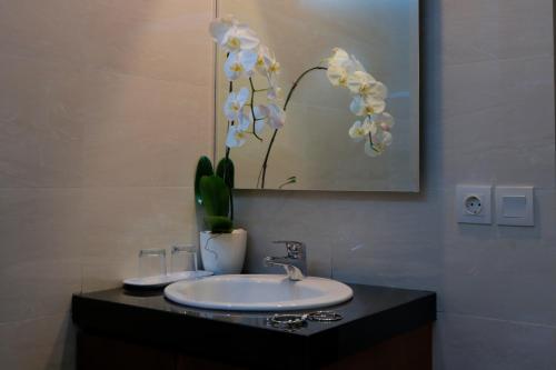 塞米亚克星家水明漾酒店的一间带水槽和花瓶的浴室