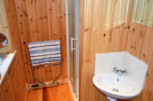 StrachurGlenbranter Cottage的一间带水槽和淋浴的浴室