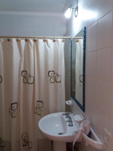 罗萨里奥Como en Casa 2的一间带水槽和淋浴帘的浴室