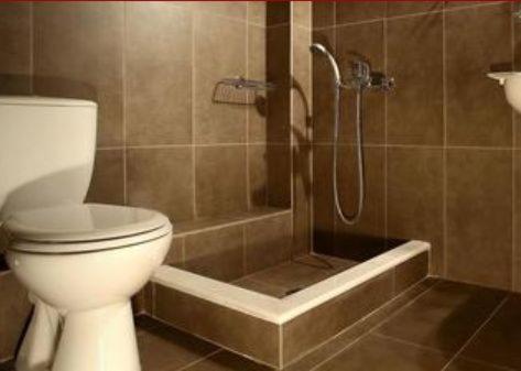 果拉阿克鲁提酒店的一间带卫生间和淋浴的浴室