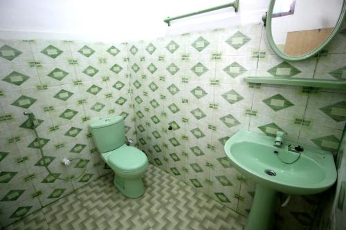 贾夫纳纳鲁尔假日旅馆的浴室配有绿色卫生间和水槽。