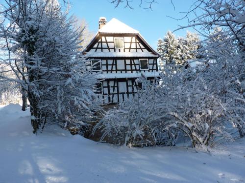 Drachenbronn费米奥贝格姆林赛普特方坦尼酒店的一座被雪覆盖的房屋,里面布满了树木和灌木