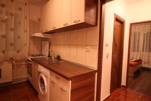 普雷代亚尔Orion的厨房配有水槽和洗衣机