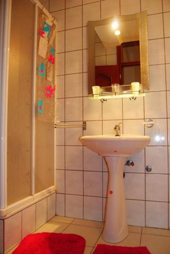 弗尔尼亚奇卡矿泉镇Apartman Lili的一间带水槽和镜子的浴室