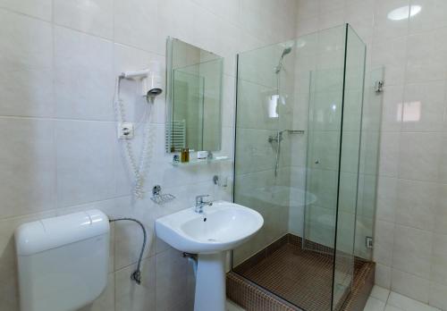 加拉茨马格努斯加拉茨酒店的带淋浴、盥洗盆和卫生间的浴室