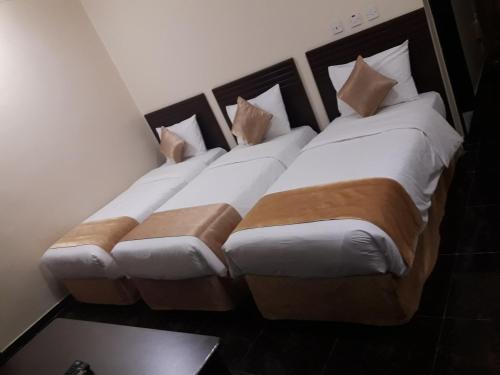 MūkhīLake Hotel的两张睡床彼此相邻,位于一个房间里
