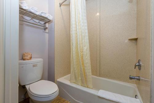 安纳海姆布埃纳维斯塔酒店的一间带卫生间和淋浴的浴室