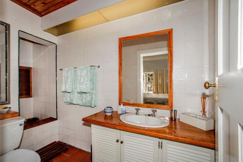 钓鱼镇Salop House的一间带水槽、卫生间和镜子的浴室