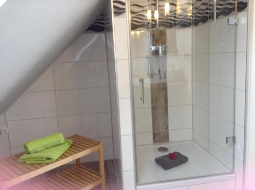 奥拉宁堡Eulennest Oranienburg的浴室里设有玻璃门淋浴