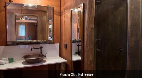 朗里奇盐林山林小屋的一间带一个碗水槽和淋浴的浴室