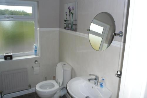 Nant-y-bwchPrincetown Cottage的一间带卫生间、水槽和镜子的浴室