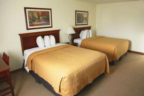 亚历克斯套房酒店客房内的一张或多张床位