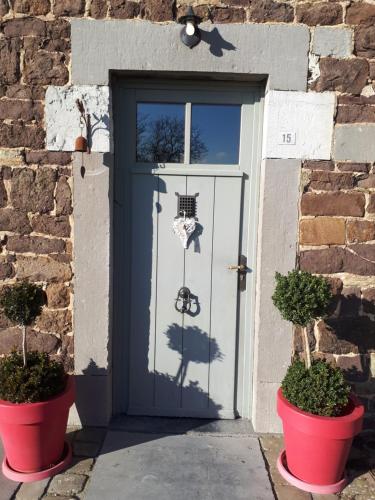 Gesves布里昂萨特乡村民宿的前面有两棵盆栽植物的门