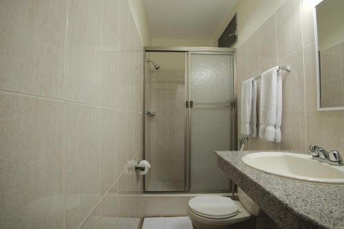 戴维卡斯蒂利亚酒店的带淋浴、卫生间和盥洗盆的浴室