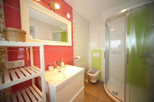 克拉尼斯卡戈拉Apartments Planica的一间带水槽、淋浴和卫生间的浴室