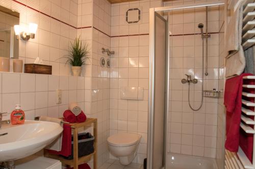 洛贝格Ferienwohnung "Woidliebe"的带淋浴、卫生间和盥洗盆的浴室
