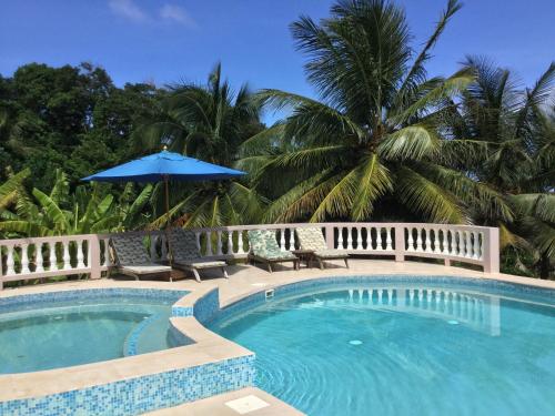 Mount Alexander比提昂斯酒店的一个带椅子和遮阳伞的游泳池,并种植了棕榈树