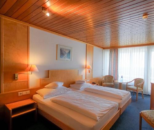 莱茵河畔的布赖萨赫布莱萨赫市酒店的相册照片