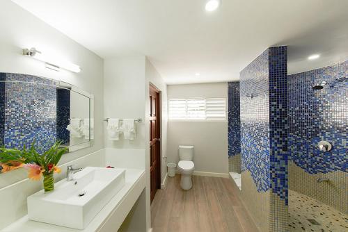 CherryfieldCoral Cay Villas的一间带水槽、淋浴和卫生间的浴室