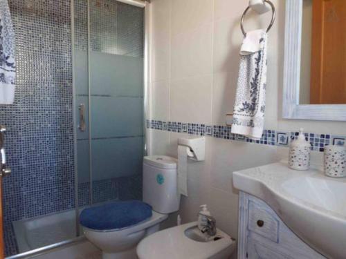 桑坦伊Can Vich的浴室配有卫生间、盥洗盆和淋浴。