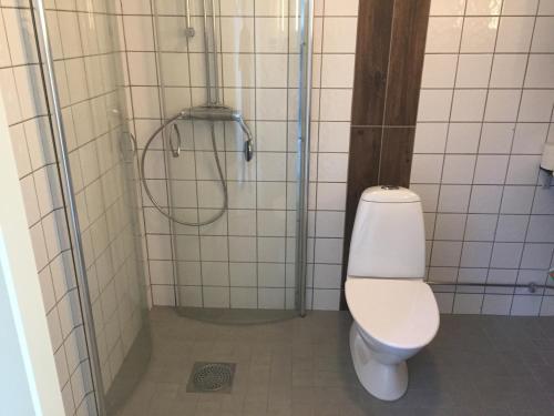 伊德勒Fjällstuga的一间带卫生间和淋浴的浴室