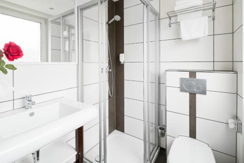 德赖艾希赫罗纳酒店的一间带水槽、卫生间和镜子的浴室