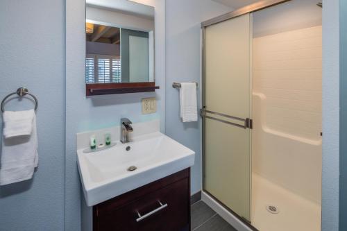 贝尔蒙硅谷酒店的一间带水槽和淋浴的浴室