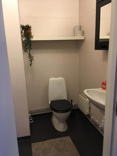 博伦厄Utsikten的一间带卫生间和水槽的浴室