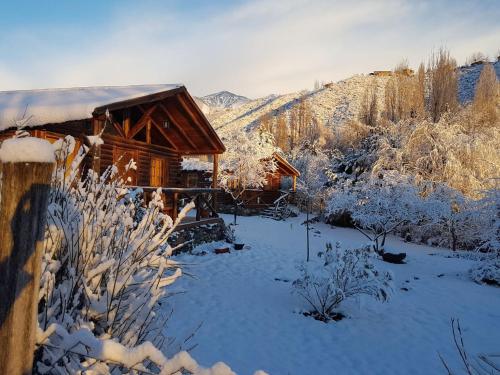 波特雷里约斯Posta Nehuen Cabañas的小木屋,地面上积雪