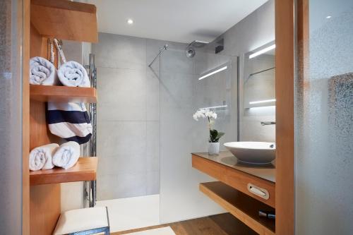 昂西桑多梅因都莫林Spa餐厅酒店的一间带水槽和淋浴的浴室