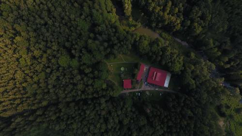 ZapustaOśrodek leśny Rajsko w Zapuście的享有森林的空中景色,设有一座红色的建筑