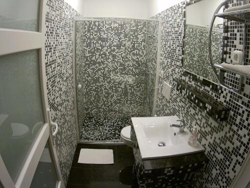 包姚斯拉维公寓的一间带水槽和淋浴的小浴室