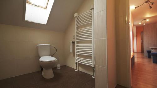 Šahy罗曼酒店的一间带卫生间和天窗的浴室