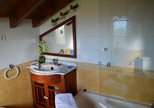 苏安塞斯Posada El Valle - Adults Only的一间带水槽、浴缸和镜子的浴室