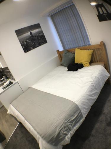 达德利Castle Terrace (B3 R4)的卧室配有白色床和黄色枕头