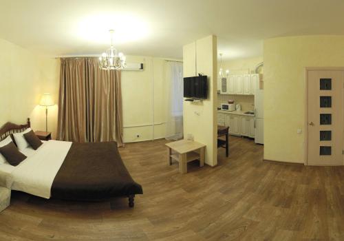 尼古拉耶夫Studio on Sobornaya的一间卧室设有一张床和一间客厅。