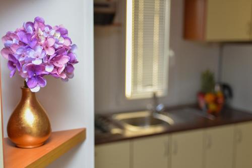 帕科坦Lavender Mobile Houses的厨房里的柜台上一束紫色花